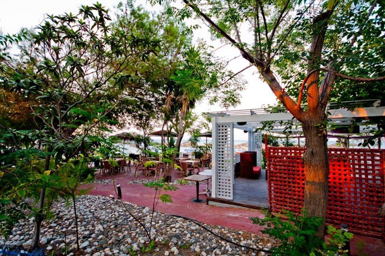 Theodorou Beach Hotel Apartments Psalidi  Ngoại thất bức ảnh